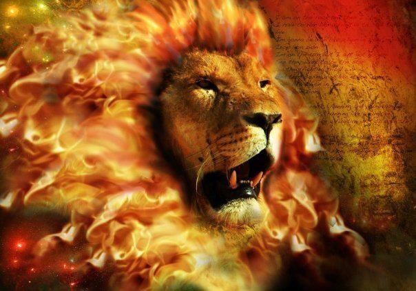 THE LION OF THE TRIBE OF JUDAH!